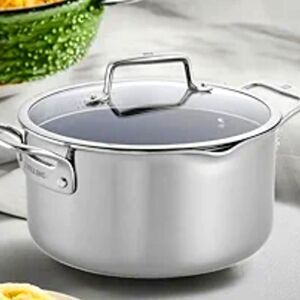 Zwilling Henckels Clad CFX 6Qt Stainless Steel Non-Stick Dutch Oven